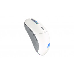 ENDORFY GEM Plus Wireless Onyx White hiiri Molempikätinen RF Wireless + USB Type-C Optinen 26000 DPI