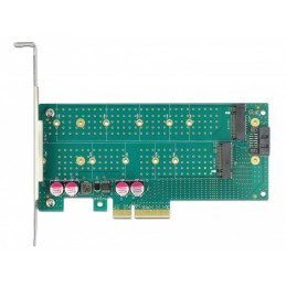 DeLOCK 89047 liitäntäkortti -sovitin Sisäinen M.2, SATA