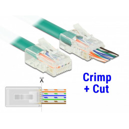DeLOCK 86453 liitinjohto RJ-45 Läpinäkyvä