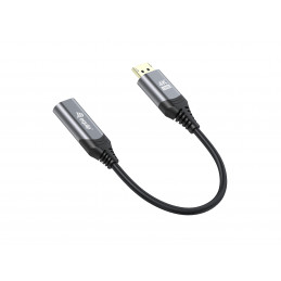 Equip 133445 videokaapeli-adapteri 0,15 m DisplayPort HDMI Musta, Harmaa