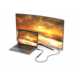 Equip 133445 videokaapeli-adapteri 0,15 m DisplayPort HDMI Musta, Harmaa