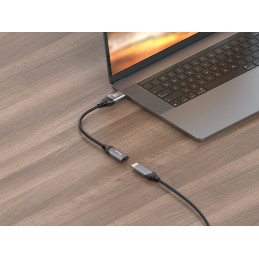 Equip 133445 videokaapeli-adapteri 0,15 m DisplayPort HDMI Musta, Harmaa