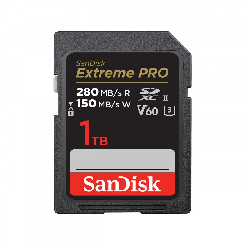SanDisk SDSDXEP-1T00-GN4IN muistikortti 1 TB SDXC UHS-II Luokka 10