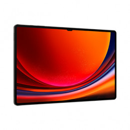 Samsung Galaxy Tab S9 Ultra SM-X916B 5G 256 GB 37,1 cm (14.6") Qualcomm Snapdragon 12 GB Wi-Fi 6 (802.11ax) Android 13 Grafiitti