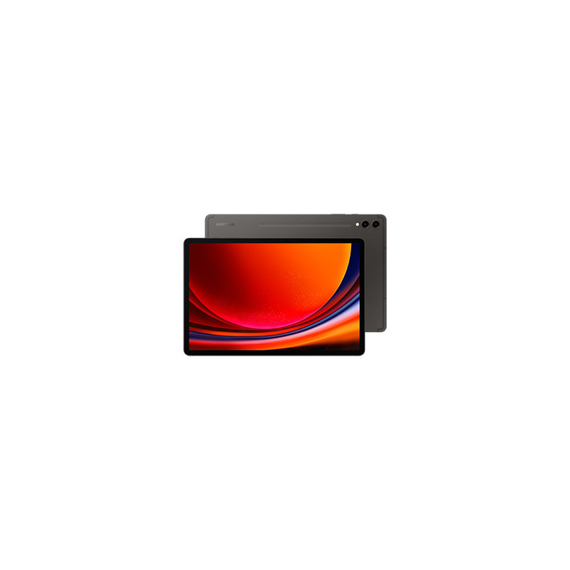 Samsung Galaxy Tab S9+ SM-X810N 256 GB 31,5 cm (12.4") Qualcomm Snapdragon 12 GB Wi-Fi 6 (802.11ax) Android 13 Grafiitti