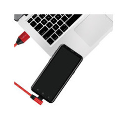 LogiLink CU0145 USB-kaapeli 0,3 m USB 2.0 USB A USB C Punainen