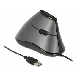DeLOCK 12527 hiiri Oikeakätinen USB A-tyyppi Optinen 800 DPI