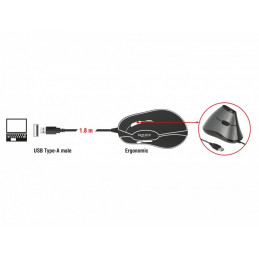 DeLOCK 12527 hiiri Oikeakätinen USB A-tyyppi Optinen 800 DPI