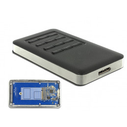 DeLOCK 42594 tallennusaseman kotelo SSD-kotelo Musta, Hopea M.2
