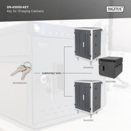 Digitus DN-45000-KEY palvelinkaapin lisävaruste Lukitusavain
