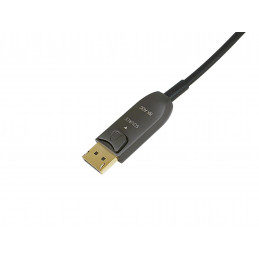 Equip 119442 DisplayPort-kaapeli 20 m Musta