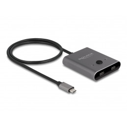 DeLOCK 11500 keskitin USB 3.2 Gen 2 (3.1 Gen 2) Type-C 10000 Mbit s Harmaa