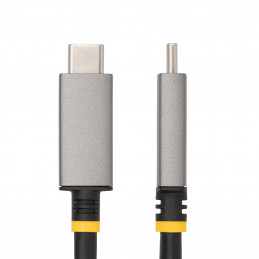 StarTech.com 135B-USBC-HDMI212M videokaapeli-adapteri 2 m USB Type-C HDMI-tyyppi A (vakio) Harmaa