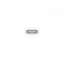 Apple USB-C to Pencil Adapter Valkoinen 1 kpl