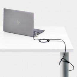 StarTech.com UNIVC4D-LAPTOP-LOCK kaapelilukko Musta, Hopea 2 m