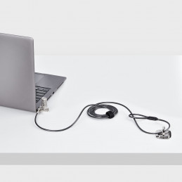 StarTech.com UNIVC4D-LAPTOP-LOCK kaapelilukko Musta, Hopea 2 m