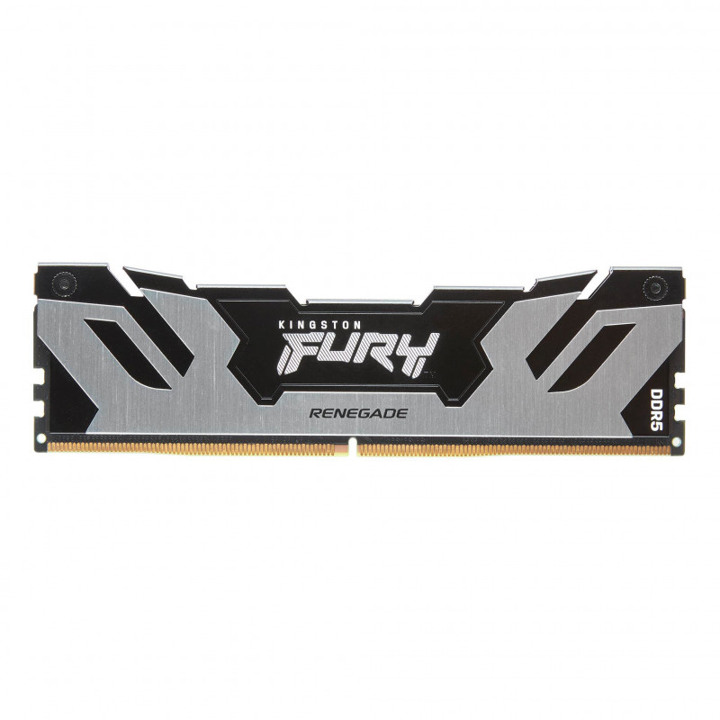 Kingston Technology FURY Renegade muistimoduuli 48 GB 1 x 48 GB DDR5 6400 MHz