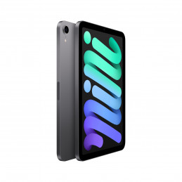 Apple iPad mini 256 GB 21,1 cm (8.3") Wi-Fi 6 (802.11ax) iPadOS 15 Harmaa
