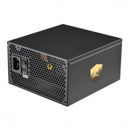 Sharkoon Rebel P30 Gold virtalähdeyksikkö 1000 W 20+4 pin ATX ATX Musta