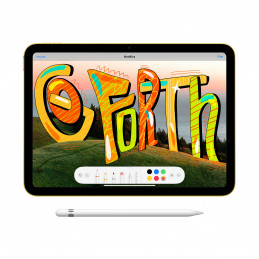 Apple iPad 5G TD-LTE & FDD-LTE 256 GB 27,7 cm (10.9") Wi-Fi 6 (802.11ax) iPadOS 16 Hopea