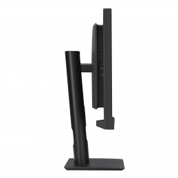 ASUS ProArt PA24US tietokoneen litteä näyttö 59,9 cm (23.6") 3840 x 2160 pikseliä 4K Ultra HD LCD Musta