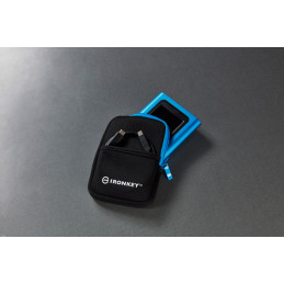 Kingston Technology IronKey Vault Privacy 80 3,84 TB Sininen