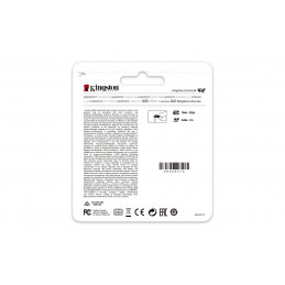 Kingston Technology Canvas Go! Plus 1 TB MicroSD UHS-I Luokka 10