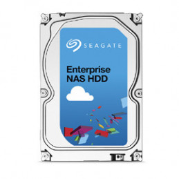 Seagate Enterprise NAS 3.5" 6 TB Serial ATA III