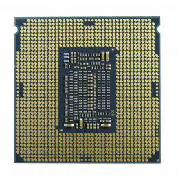 Intel Pentium Gold G6600 suoritin 4,2 GHz 4 MB Smart Cache Laatikko