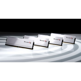 G.Skill F5-5600J4040D48GX2-RM5RW muistimoduuli 96 GB 2 x 48 GB DDR5 5600 MHz