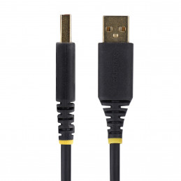 StarTech.com 2P1FFC-USB-SERIAL kaapelin sukupuolenvaihtaja USB-A 2 x DB-9 RS-232 musta, Harmaa