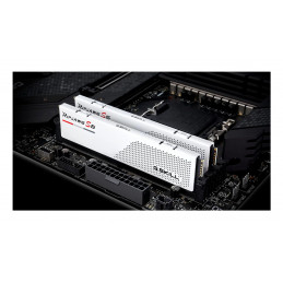 G.Skill F5-6000J2836G32GX2-RS5W muistimoduuli 64 GB