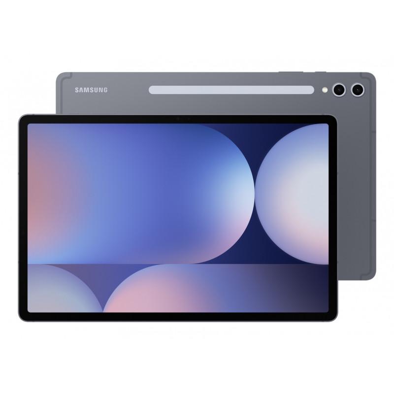 Samsung Galaxy Tab S Galaxy Tab S10+ 256 GB 31,5 cm (12.4") 12 GB Wi-Fi 6E (802.11ax) Harmaa