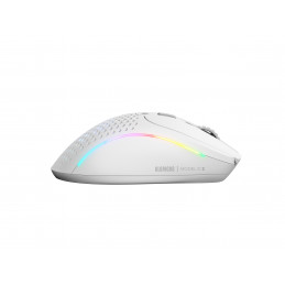 Glorious Gaming Model D 2 Wireless hiiri Pelaaminen Oikeakätinen Langaton RF 19000 DPI
