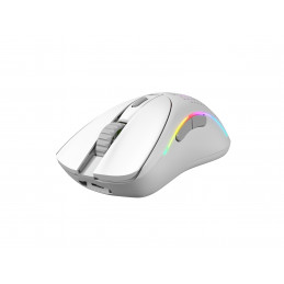 Glorious Gaming Model D 2 Wireless hiiri Pelaaminen Oikeakätinen Langaton RF 19000 DPI