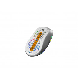 Glorious Gaming Model D 2 Wireless hiiri Pelaaminen Oikeakätinen Langaton RF 19000 DPI