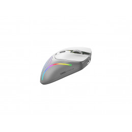 Glorious Gaming Model D 2 Wireless hiiri Pelaaminen Oikeakätinen Langaton RF 19000 DPI