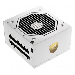 Sharkoon Rebel P20 virtalähdeyksikkö 1000 W 24-pin ATX ATX Valkoinen