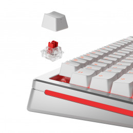 Glorious Gaming GLO-KB-ACC-SWT-FOX-HE-36 syöttölaitteen lisävaruste Näppäimistökytkimet