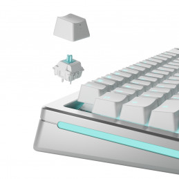 Glorious Gaming GLO-KB-ACC-SWT-LYNX-LUBED-36 syöttölaitteen lisävaruste Näppäimistökytkimet