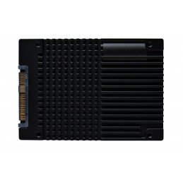 Kingston Technology DC3000ME 3,84 TB U.2 PCI Express 5.0 NVMe 3D eTLC