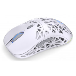 ENDORFY LIV Plus Wireless Onyx White hiiri Pelaaminen Molempikätinen Bluetooth Optinen 26000 DPI