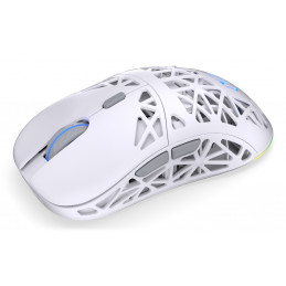 ENDORFY LIV Wireless Onyx White hiiri Pelaaminen Molempikätinen Bluetooth Optinen 12000 DPI