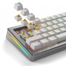 Glorious Gaming GLO-KB-ACC-SWT-PANDA-LUBED-36 syöttölaitteen lisävaruste Keyboard switches lube station