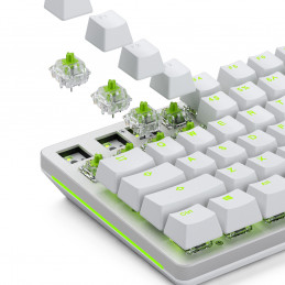 Glorious Gaming GLO-KB-ACC-SWT-RAPTOR-LUBED-36 syöttölaitteen lisävaruste Näppäimistökytkimet