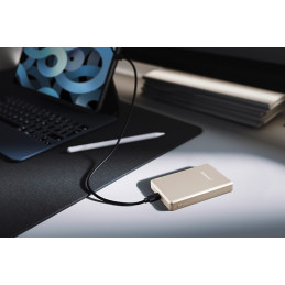 Intenso MW10000 Litium polymeeri (LiPo) 10000 mAh Langaton lataaminen Shampanja