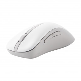 ASUS Wireless Mouse MD102 hiiri Universaali Oikeakätinen RF Wireless + Bluetooth Optinen 1600 DPI