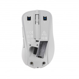 ASUS Wireless Mouse MD102 hiiri Universaali Oikeakätinen RF Wireless + Bluetooth Optinen 1600 DPI