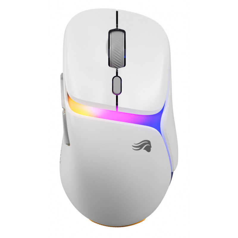Glorious Gaming Model D3 Wireless hiiri Pelaaminen Oikeakätinen Langaton RF Optinen 30000 DPI