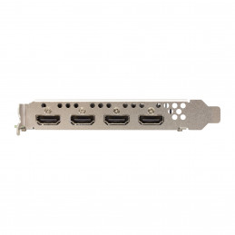 Sparkle Technology Intel Arc A310 OMNI View 4 GB GDDR6
